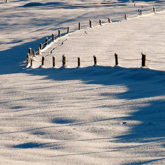 Winterimpressionen im Oberland