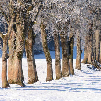 Winterimpressionen im Oberland