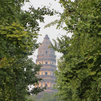 hier auch