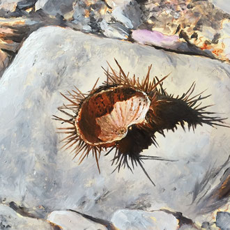 Genia Chef, Sea Urchin, 13 x 18 cm, oil on panel