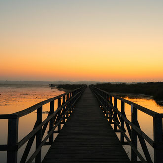 Federsee