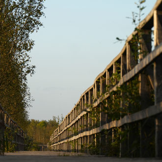 Federsee