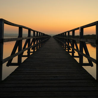 Federsee