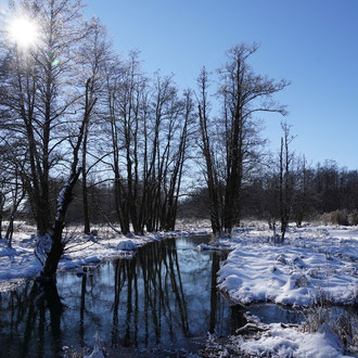 Deusmaurer Moor
