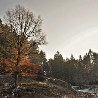 Lengenbachtal