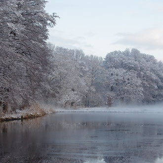 Riedlweiher