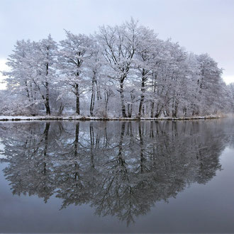 Riedlweiher