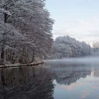 Riedlweiher