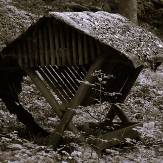 Futterkrippe Rohrenstättertal