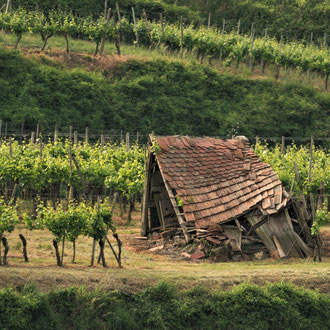 Kaiserstuhl