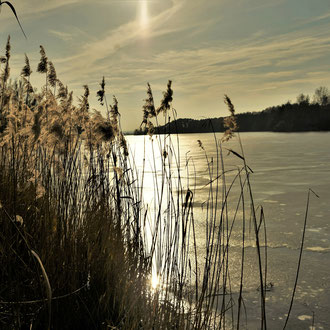 Rothsee