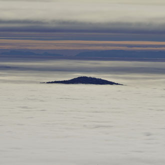 Bayerischer Wald vom Arber