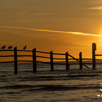 Ostsee* 2020 * © Olaf Karwisch