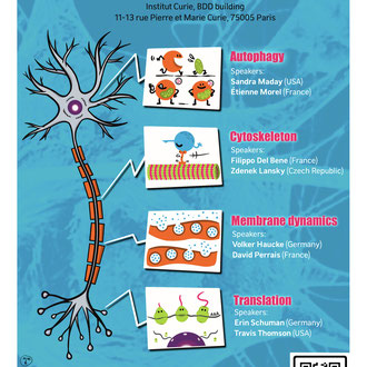 Affiche Cell Biology of Neurons - SBCF - janvier 2023
