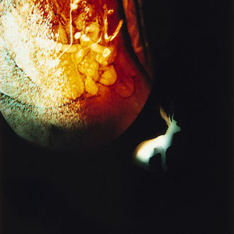 Yoichiro Nishimura