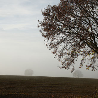 Talnebel 001