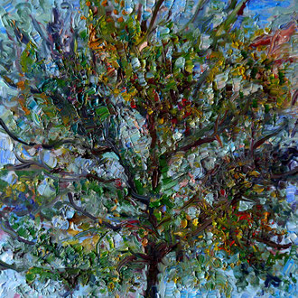 arbre 1, 40x40cm, huile, 2009