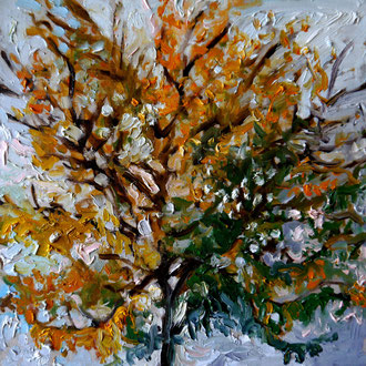 arbre 2, 40x40cm, huile, 2009