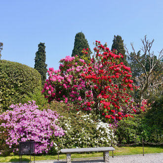Lago Maggiore Isola Bella
