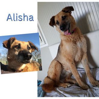 Alisha