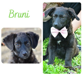 Bruni