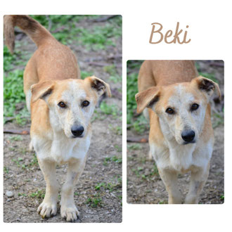 Beki