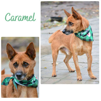 Caramel