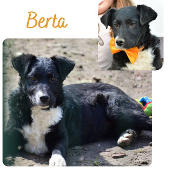 Berta
