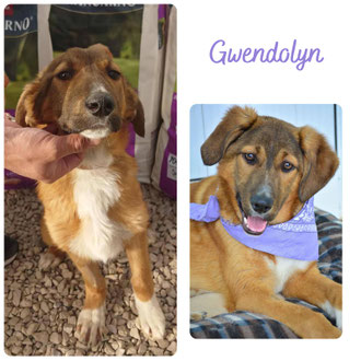 Gwendolyn
