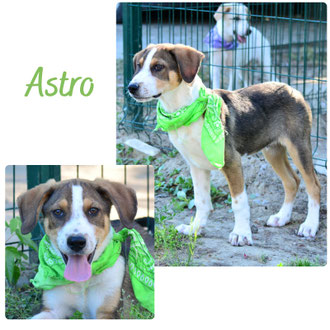 Astro