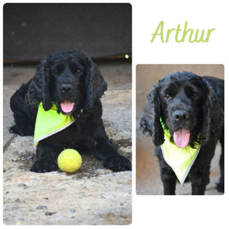 Arthur
