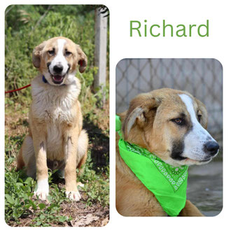Richard
