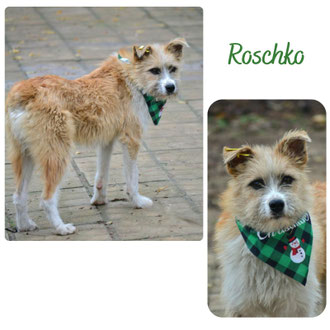 Roschko