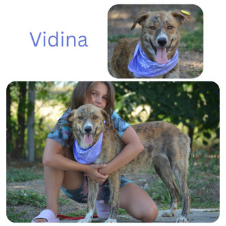 Vidina