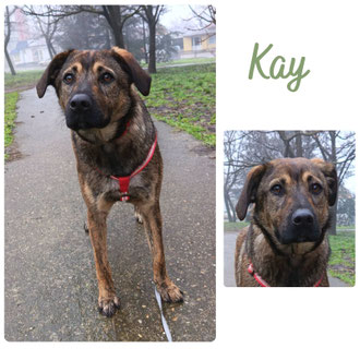 Kay