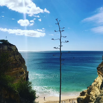 Yoga Retreat Achtsamkeit in Portugal mit Coach Nadine Holzhauer