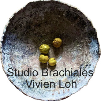 Studio Brachiales - Vivien Loh