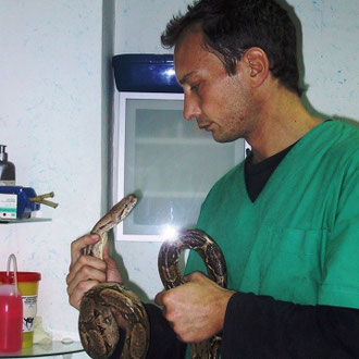 pitone veterinario milano