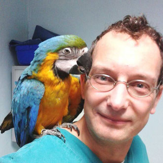 pappagallo veterinario milano