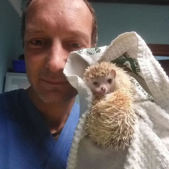 riccio veterinario milano
