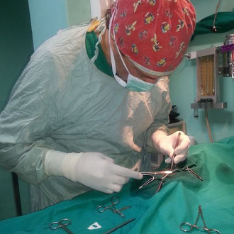 chirurgia veterinaria milano