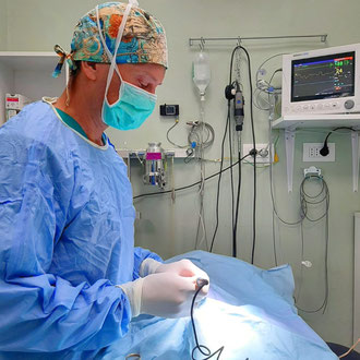 chirurgia veterinaria milano Luca Re