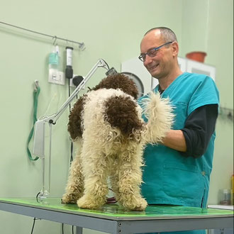 veterinario dottor Luca Re