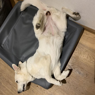 bevorzugte Liegeposition