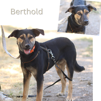 Berthold