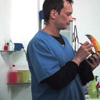 animali esotici veterinario milano