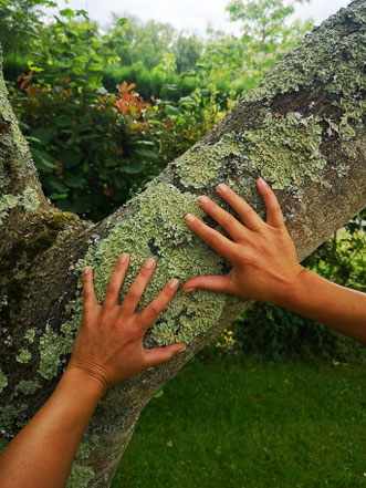 cures detox, naturopathie, détox du foie, séjour détox, hautes pyrénées, Séjour détox Pyrénées