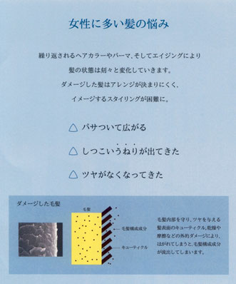 ワンクリックで拡大します