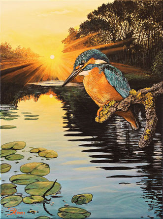 Eisvogel 30 x 40   