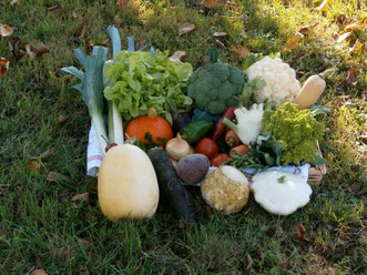 Légumes de saison dans le Grésivaudan